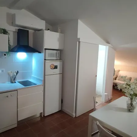 Atico Loft Oasis Playa